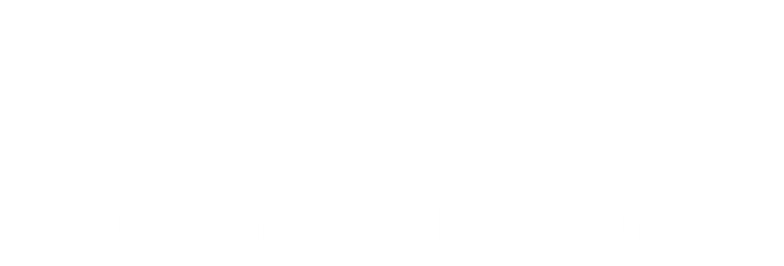 AAM TRADING AAM TRADING